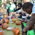 Exploring Volunteer Opportunities at Shopping Festivals in Central Virginia