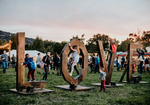 The Parking Dilemma at Shopping Festivals in Central Virginia