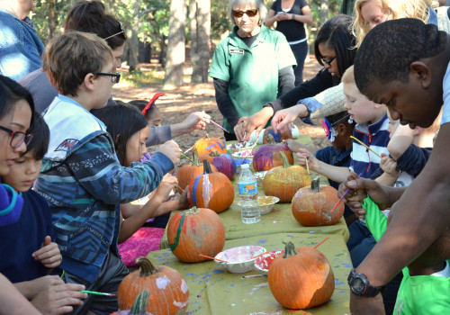 Exploring Volunteer Opportunities at Shopping Festivals in Central Virginia